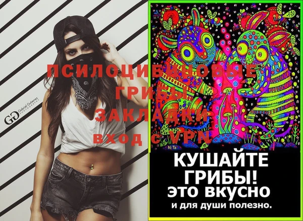 a pvp Абинск