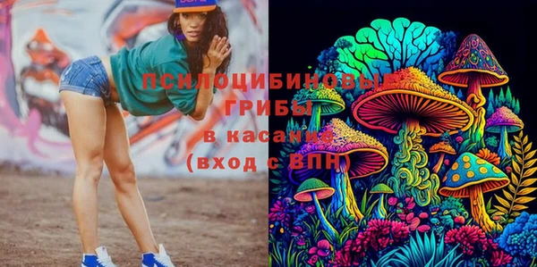 прущая мука Абаза