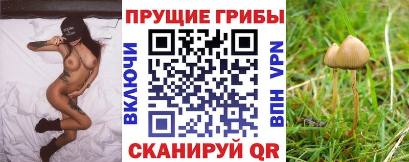 Псилоцибиновые грибы прущие грибы сайты даркнета наркотические препараты Подпорожье